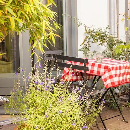 Apartment Passage - Spacious In Quiet Historic Part Of Haarlem