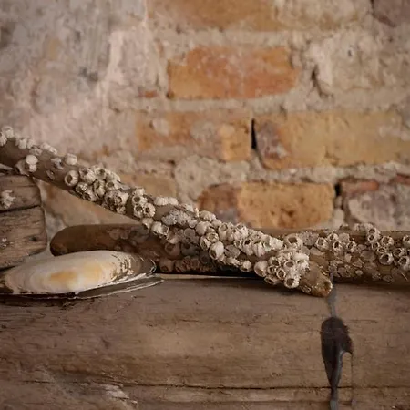 Passage - Spacious In Historic Centre Apartamento *