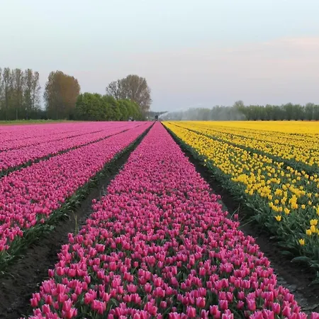 Passage - Spacious In Historic Centre