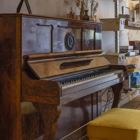 Oak & Beam Atelier Appartement Haarlem